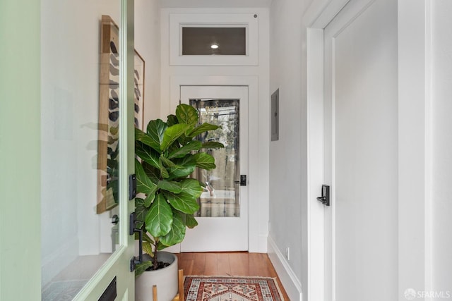 719-721 Shotwell St, San Francisco, CA 94110 - entryway featuring wood finished floors and electric panel