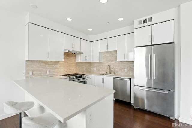 50 Jerrold Ave Unit 215, San Francisco, CA 94124 - kitchen with appliances with stainless steel finishes, under cabinet range hood, a peninsula, light countertops, and white cabinetry