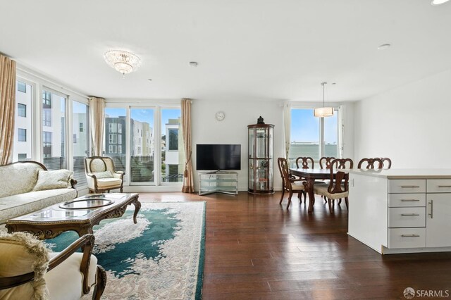 50 Jerrold Ave Unit 215, San Francisco, CA 94124 - living area featuring plenty of natural light and dark wood-style floors