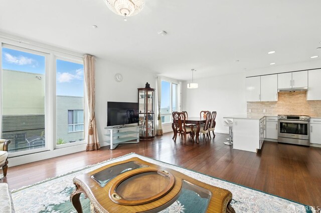 50 Jerrold Ave Unit 215, San Francisco, CA 94124 - living room with dark wood-style floors and recessed lighting