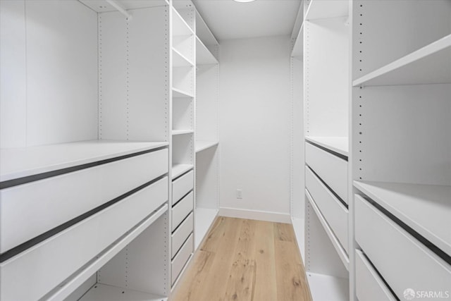 walk in closet with light wood-type flooring