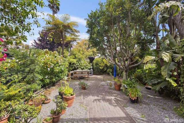 view of property's community with a patio