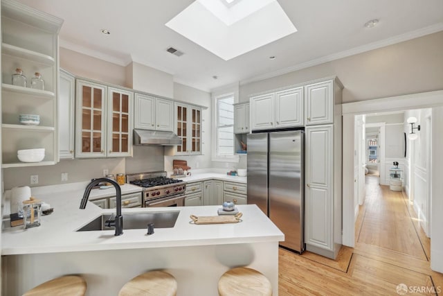 kitchen featuring a skylight, appliances with stainless steel finishes, a sink, a peninsula, and under cabinet range hood