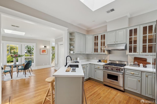 kitchen with gray cabinets, under cabinet range hood, designer range, a sink, and a skylight