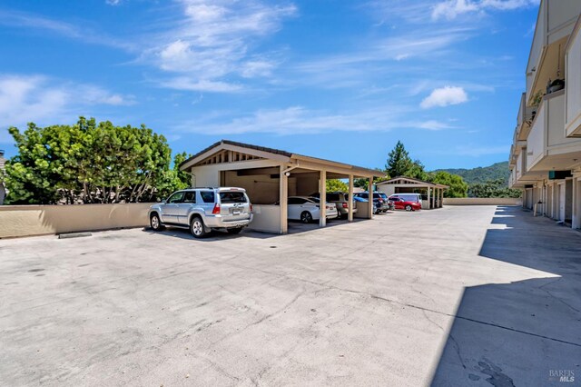 270 Channing Way Unit 1, San Rafael, CA 94903 - photo 31