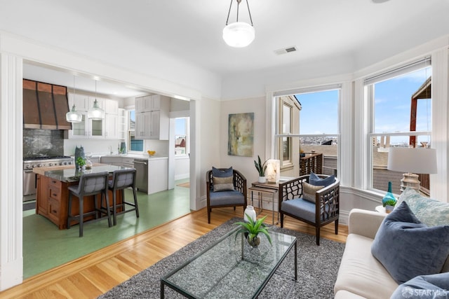 living room featuring hardwood / wood-style floors