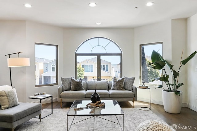living area featuring baseboards, wood finished floors, and recessed lighting