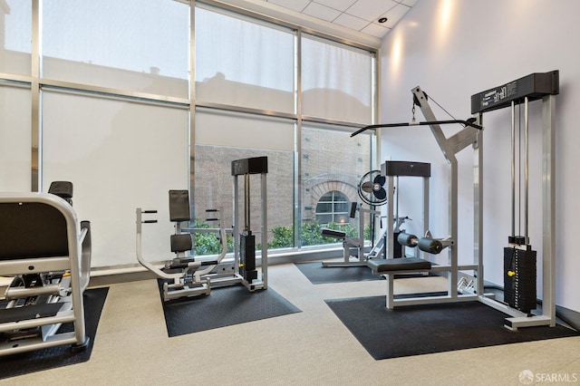 exercise room featuring floor to ceiling windows, a high ceiling, and carpet