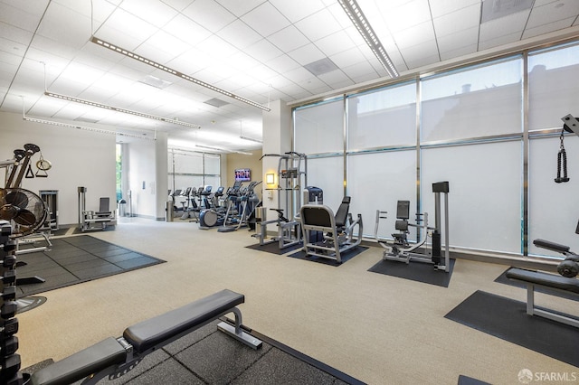 workout area with carpet