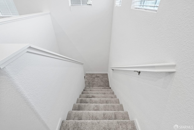 stairway featuring carpet flooring