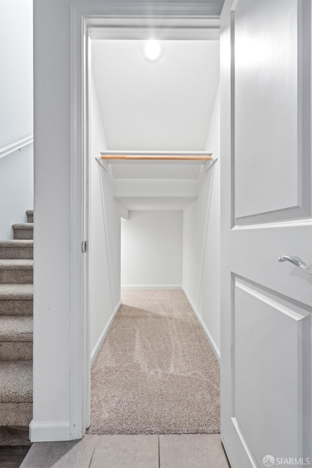 walk in closet with carpet flooring