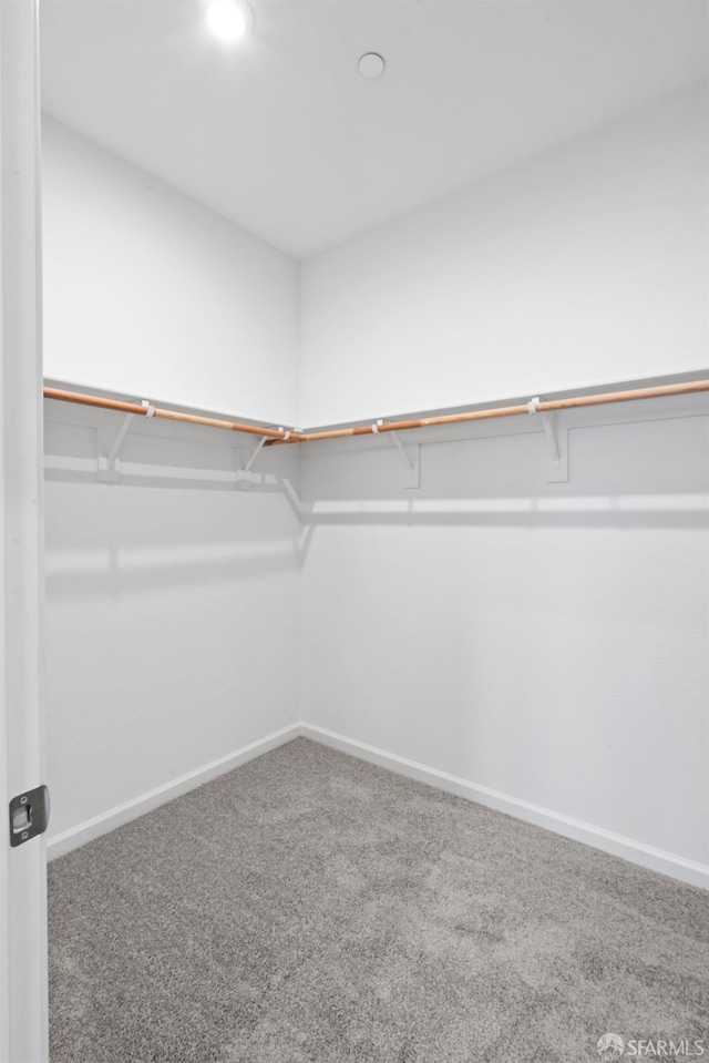 spacious closet featuring carpet floors