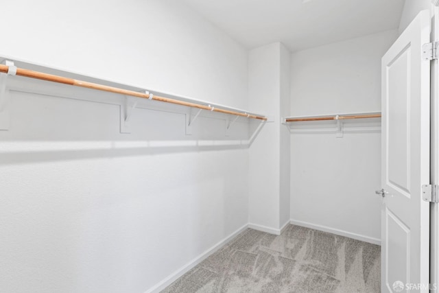 walk in closet featuring light colored carpet