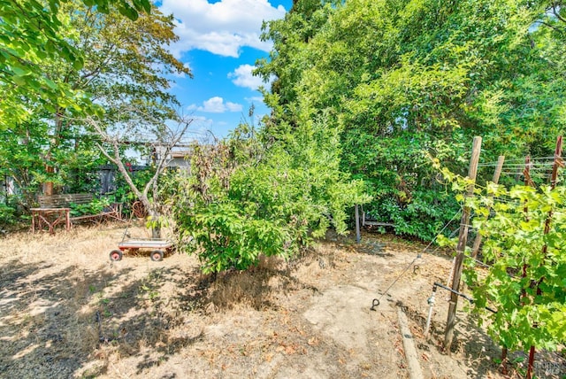 1723 Astoria Dr, Fairfield, CA 94534 - view of yard featuring a vegetable garden