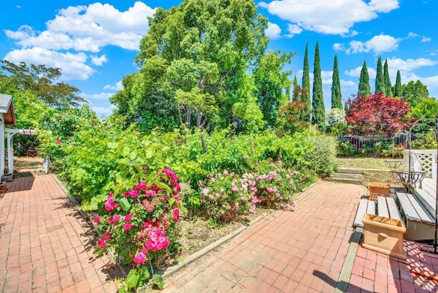 1723 Astoria Dr, Fairfield, CA 94534 - view of patio
