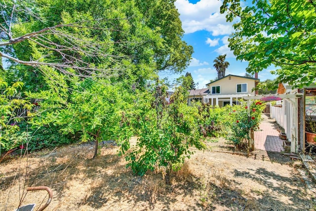 1723 Astoria Dr, Fairfield, CA 94534 - view of yard