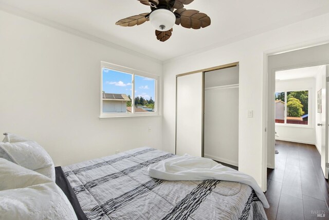 1723 Astoria Dr, Fairfield, CA 94534 - bedroom with a closet, ceiling fan, and wood finished floors