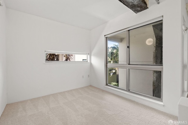 bonus room with light colored carpet