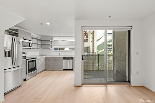 kitchen with light hardwood / wood-style floors, stainless steel appliances, and gray cabinets