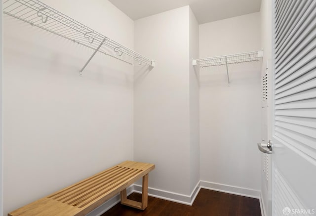 spacious closet featuring dark wood-style floors