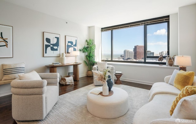 living area with a view of city, baseboards, and wood finished floors