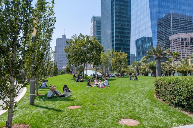 view of home's community with a lawn