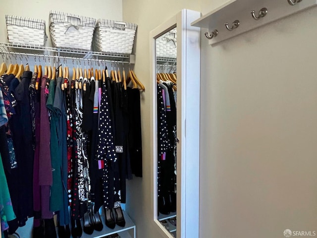 view of spacious closet