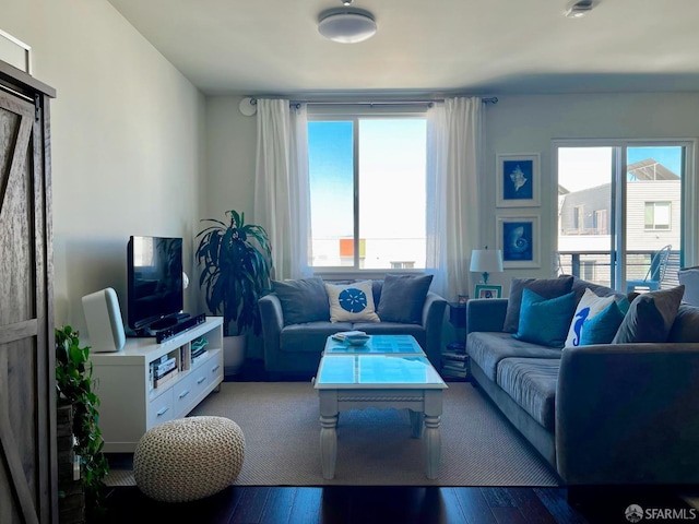 living room with hardwood / wood-style flooring