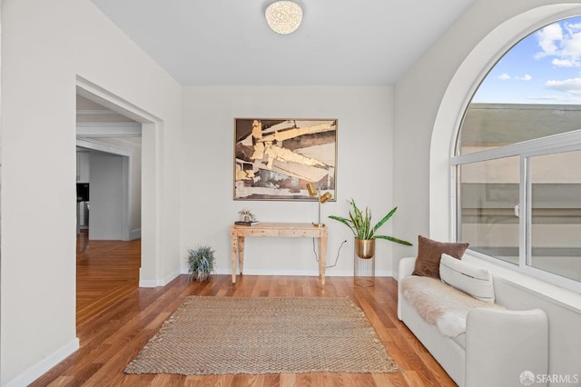 sitting room featuring hardwood / wood-style flooring