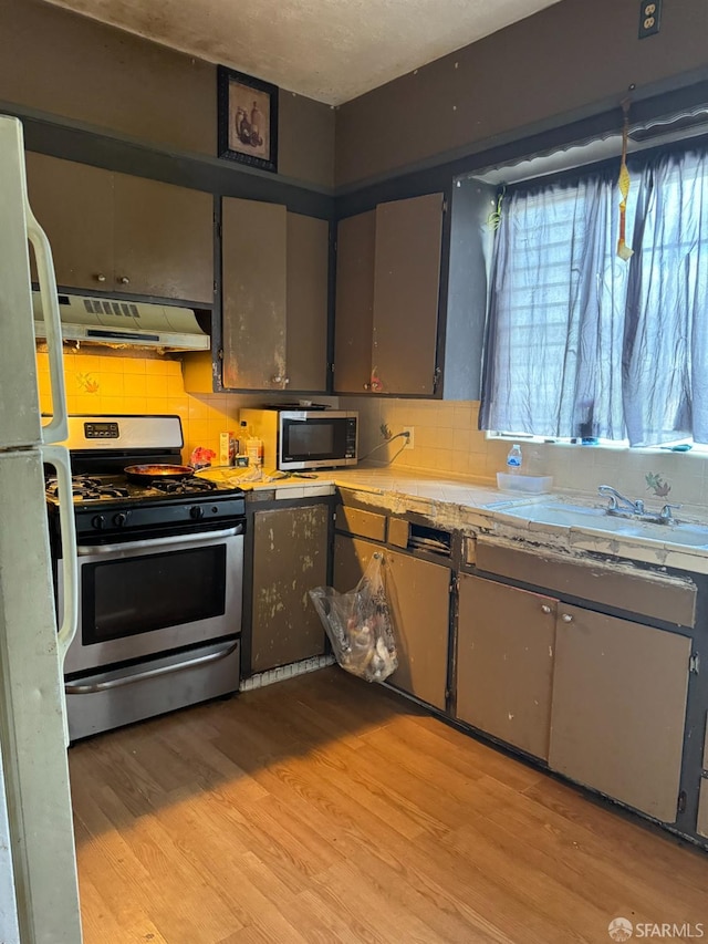 kitchen featuring decorative backsplash, light wood-type flooring, appliances with stainless steel finishes, and exhaust hood