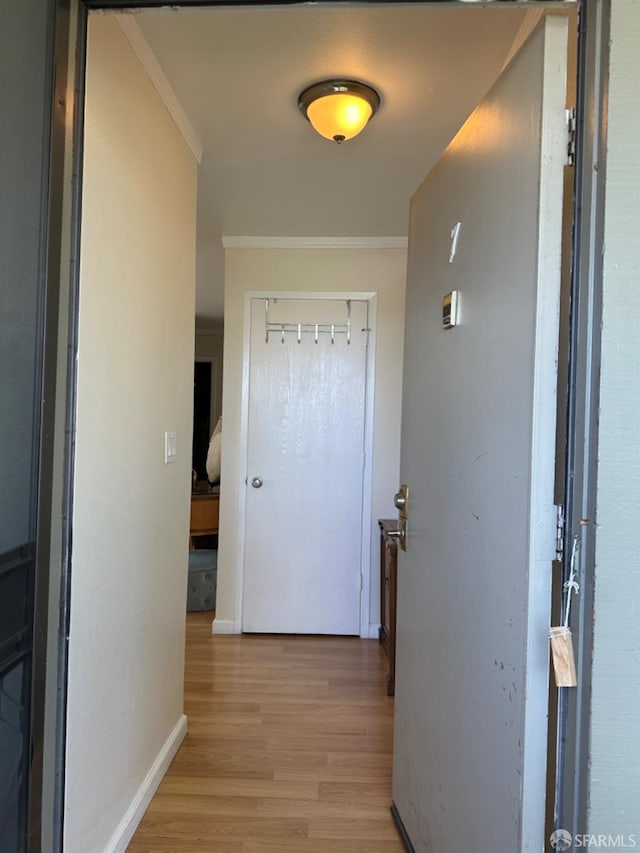 15 Mateo Ave Unit 7, Millbrae, CA 94030 - hall with baseboards, ornamental molding, and light wood-type flooring