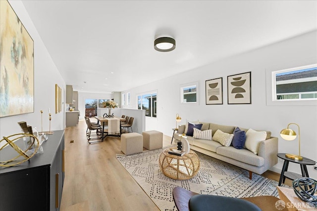 living room with light wood-style flooring