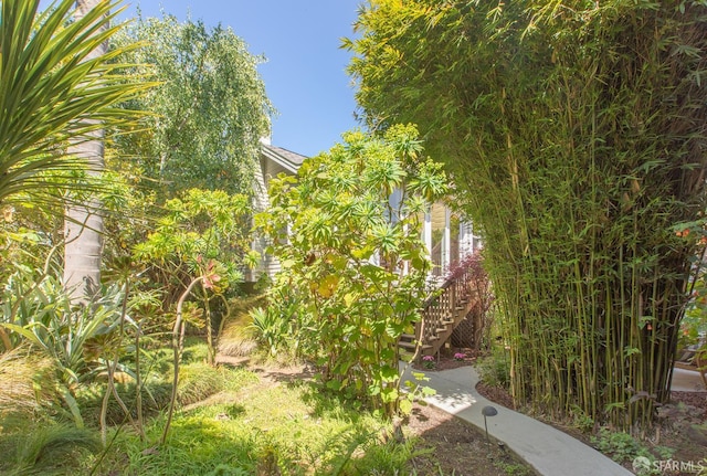 762 Bay St, San Francisco, CA 94109 - view of yard featuring stairs