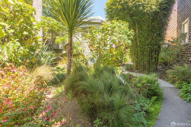 762 Bay St, San Francisco, CA 94109 - view of yard