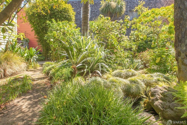 762 Bay St, San Francisco, CA 94109 - view of yard
