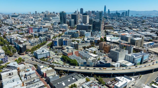 1338 Stevenson St, San Francisco, CA 1906 - skyline view