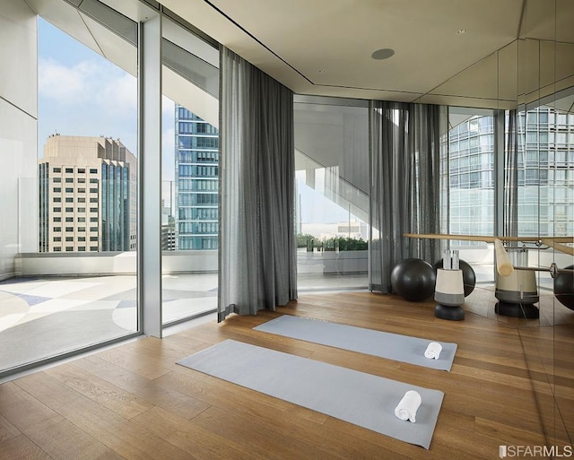 workout room featuring expansive windows and hardwood / wood-style flooring