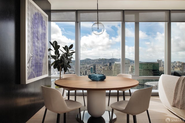 dining space featuring floor to ceiling windows, a mountain view, a healthy amount of sunlight, and wood-type flooring