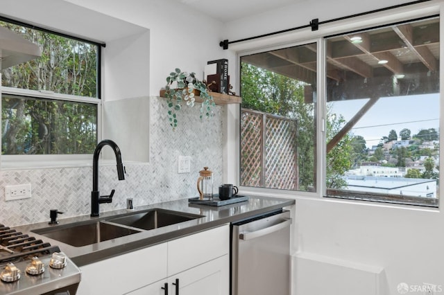 kitchen featuring dishwasher, tasteful backsplash, white cabinetry, and a sink