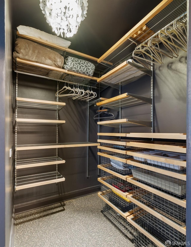 spacious closet with carpet