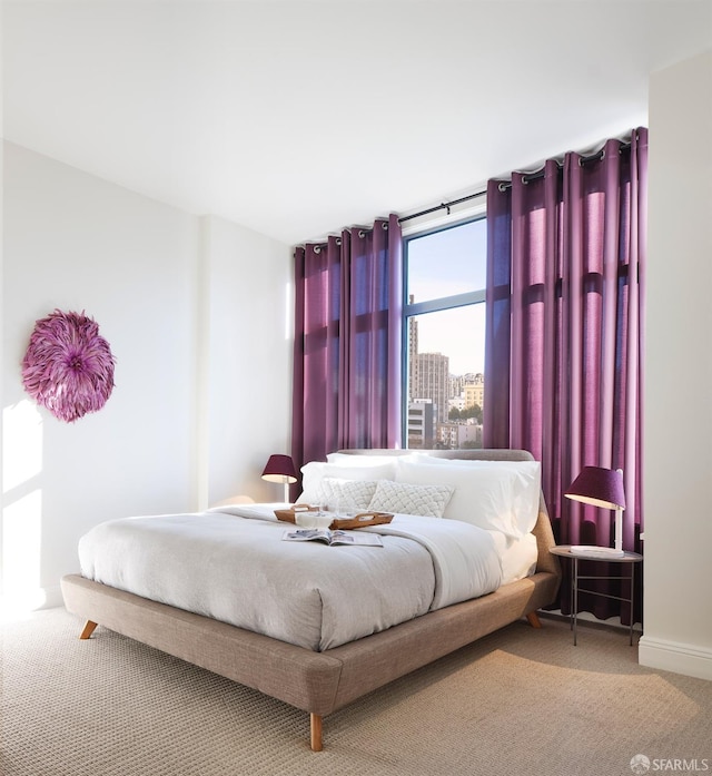 bedroom with carpet floors