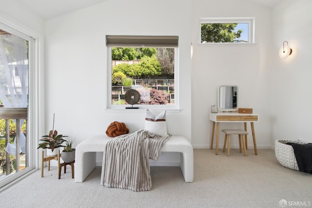 sitting room with carpet floors, a healthy amount of sunlight, and baseboards