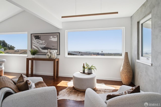 living area featuring wood finished floors and lofted ceiling