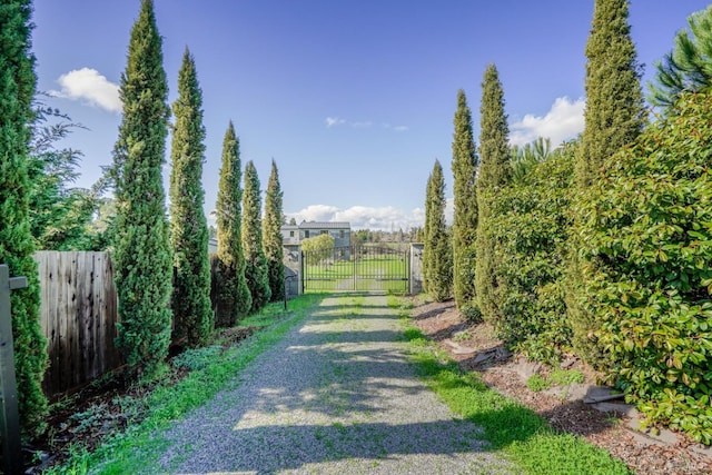 view of road with driveway and a gated entry