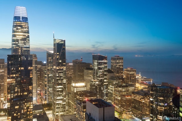 property's view of city