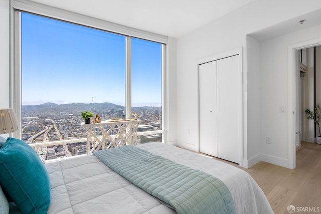 bedroom with baseboards, wood finished floors, floor to ceiling windows, a mountain view, and a closet