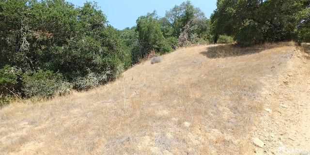 1 Poli Rd, Gilroy, CA 95020 - photo 10