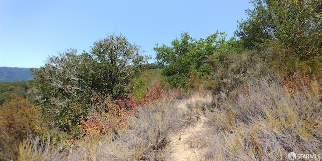 1 Poli Rd, Gilroy, CA 95020 - photo 11