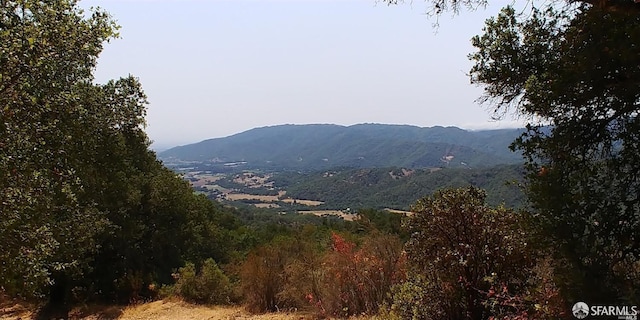 1 Poli Rd, Gilroy, CA 95020 - photo 14