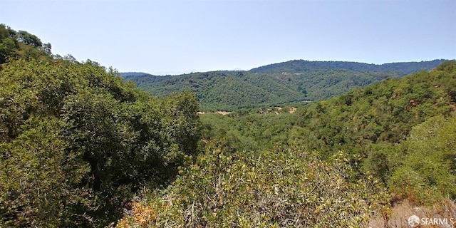1 Poli Rd, Gilroy, CA 95020 - photo 7